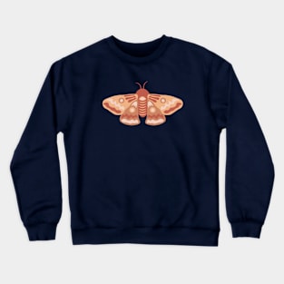 Modern simple cute earthy colors moth Crewneck Sweatshirt